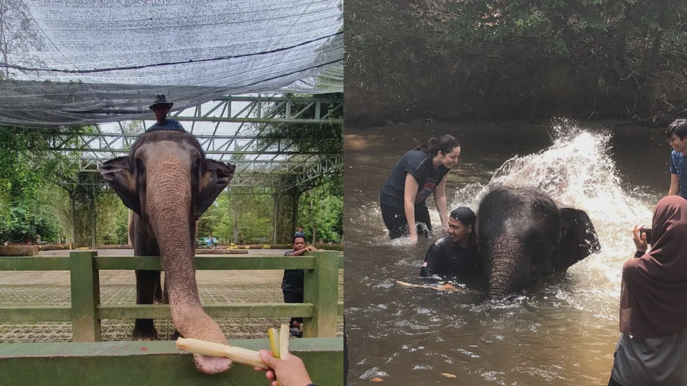 7 hidden nature escapes in Malaysia worth the journey
