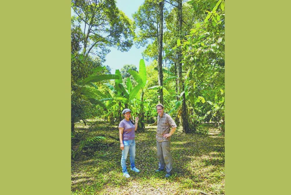 How a Penang family’s orchard became a living archive of memories