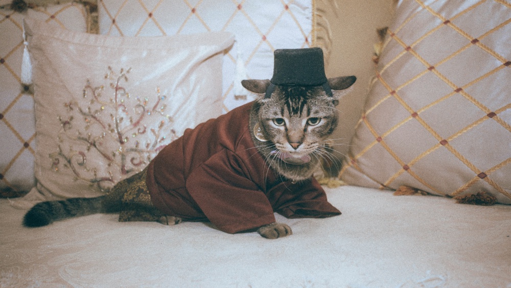 Squid was adopted from SPCA Selangor in 2023 and has since become part of the family’s Raya celebrations. – AMEEN HAZIZI/THESUN