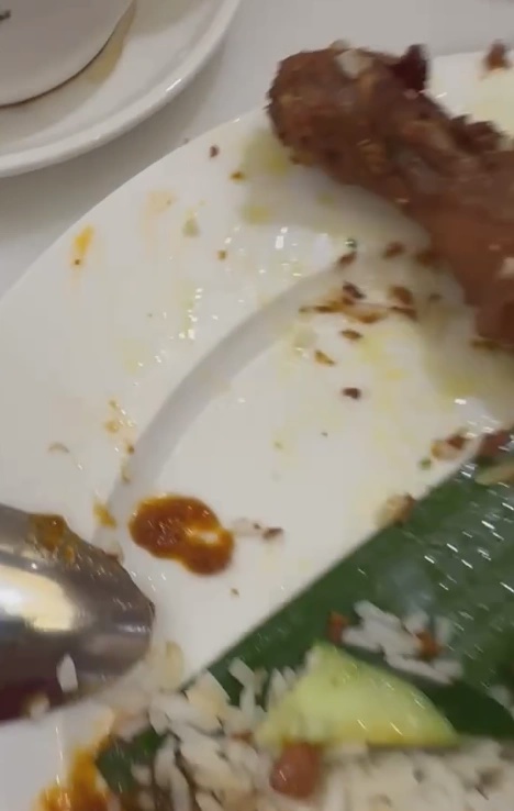 Malaysian allegedly finds maggot in nasi lemak from popular kopitiam in KL, claims husband fell ill after