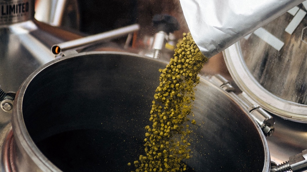 Ask a Brewer What Are Cryo Hops and What Do They Do in IPAs?