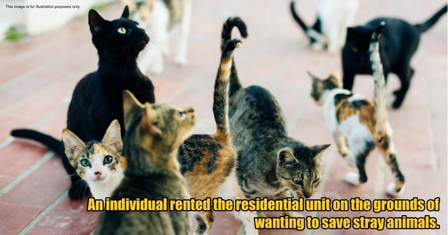 My Post 3 2026 04 10T114201.937