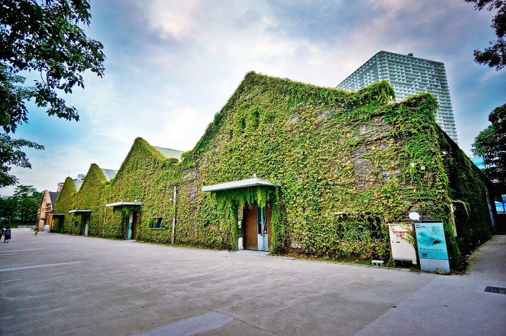 CITTaiwan Huashan 4