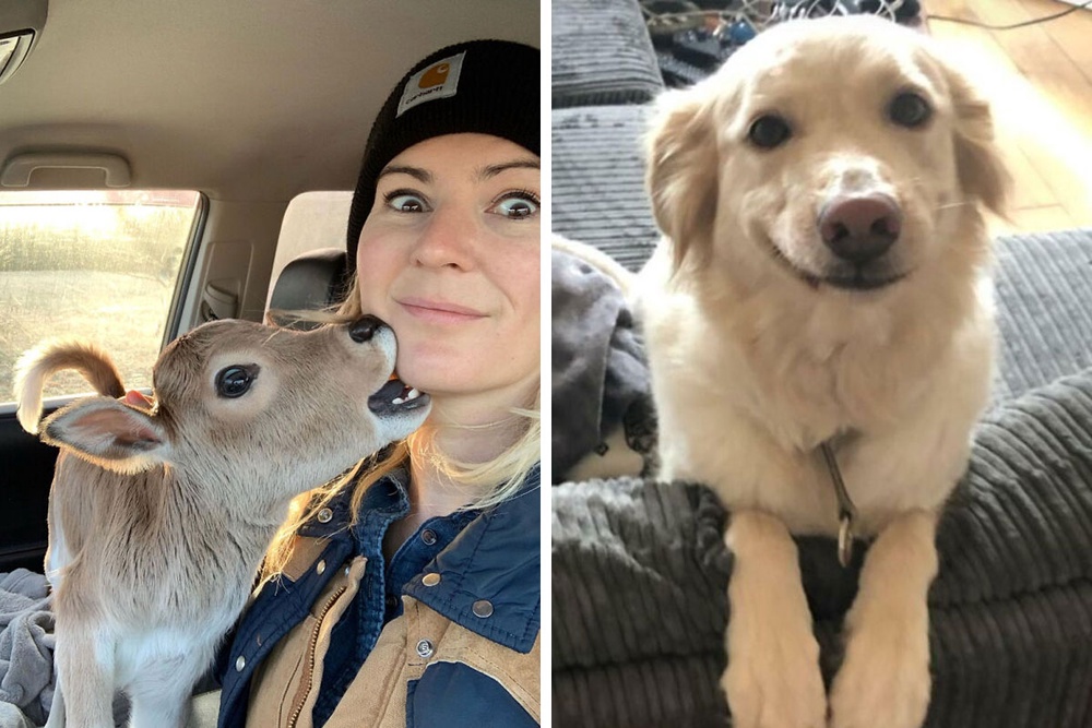 50 Uplifting Photos That Prove We Don’t Deserve Animals (New Pics)