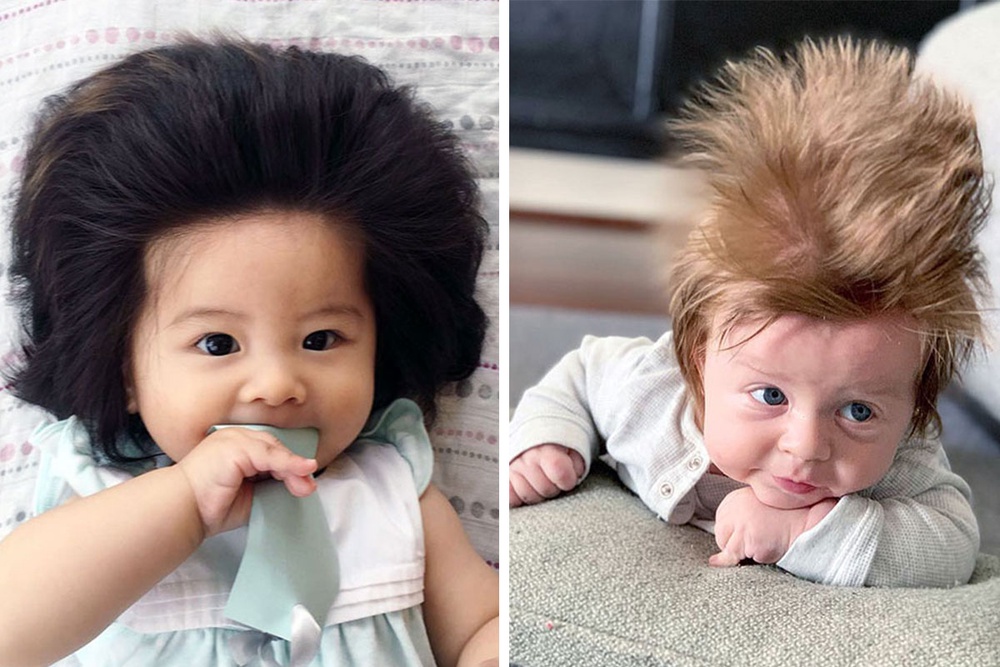 60 Babies Who Charmed The With Their Hilarious Hairdos (New Pics)