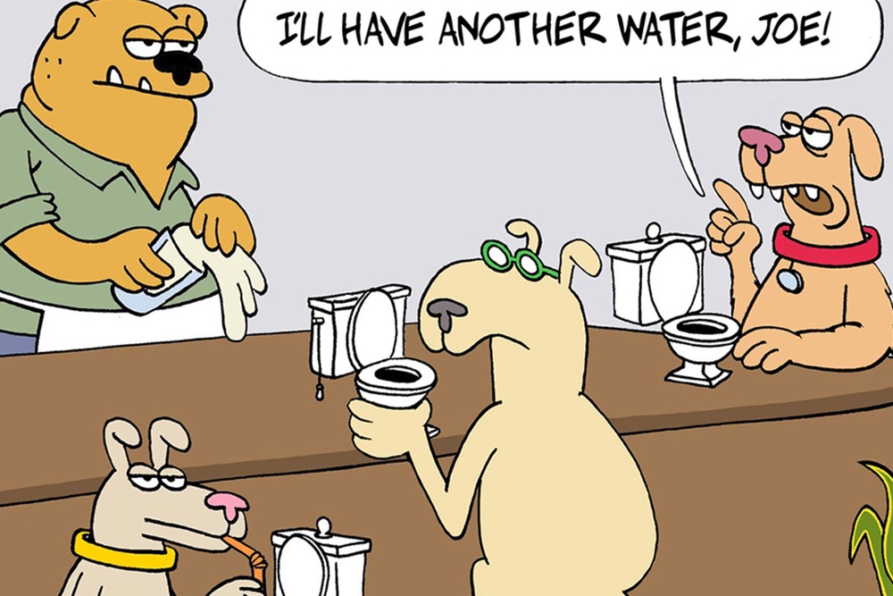 22 Absurd And Witty Comics Depicting Ridiculous Situations By Quatsch
