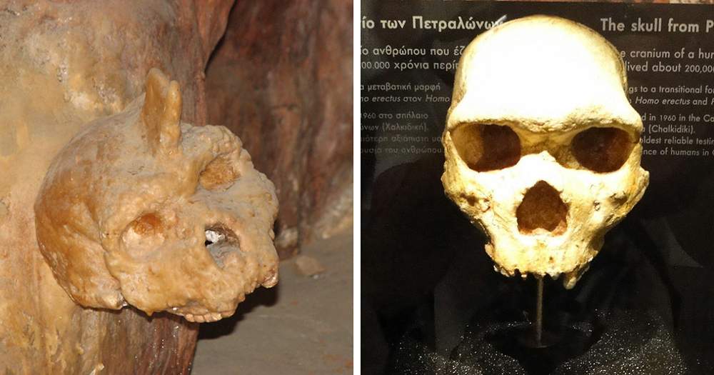 Mysterious ‘Petralona Man’ Skull Found In Cave 60 Years Ago Baffles