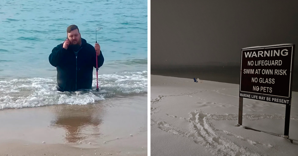50 Times People Went To The Beach And Found Something They Least