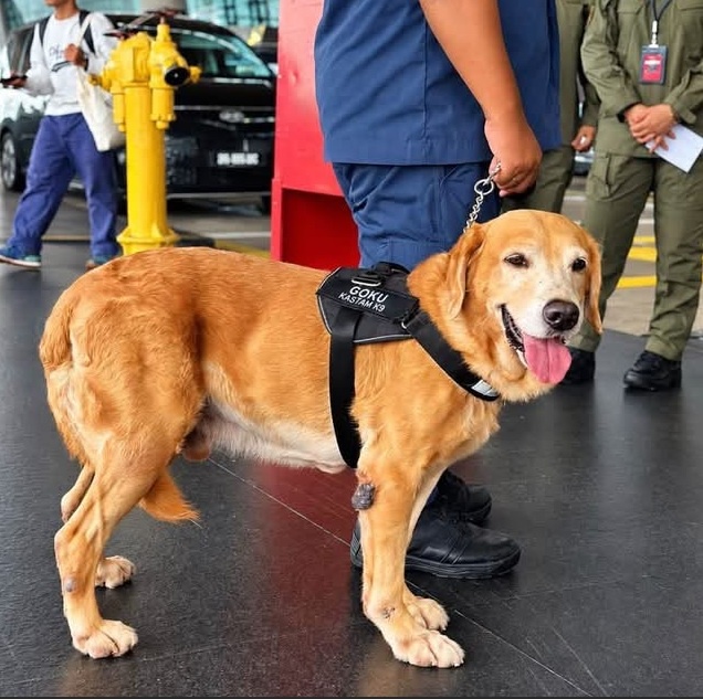 K9 KLIA MAHB_DagangNews2026