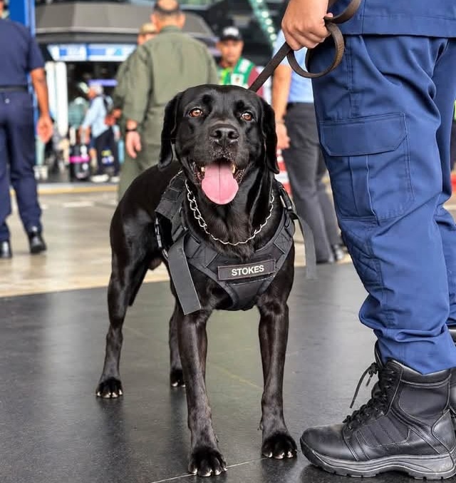 K9 KLIA MAHB_DagangNews2026