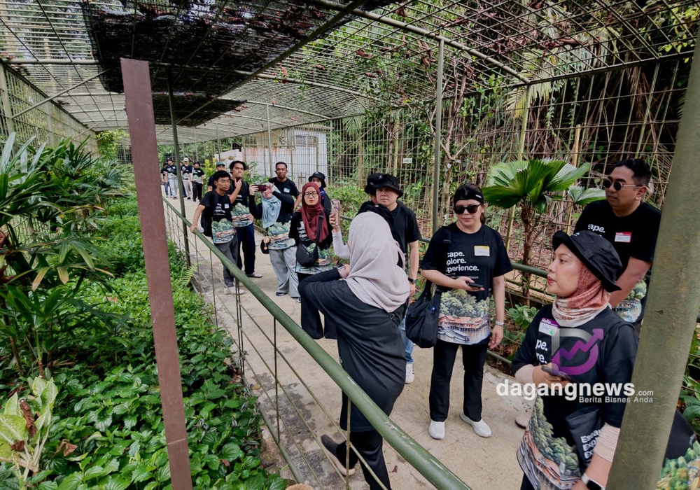 Kawasan kurungan berpagar untuk pengunjung melihat habitat orang utan ini hidup bebas di pulau tersebut. Gambar: Naim Aziz / DagangNews