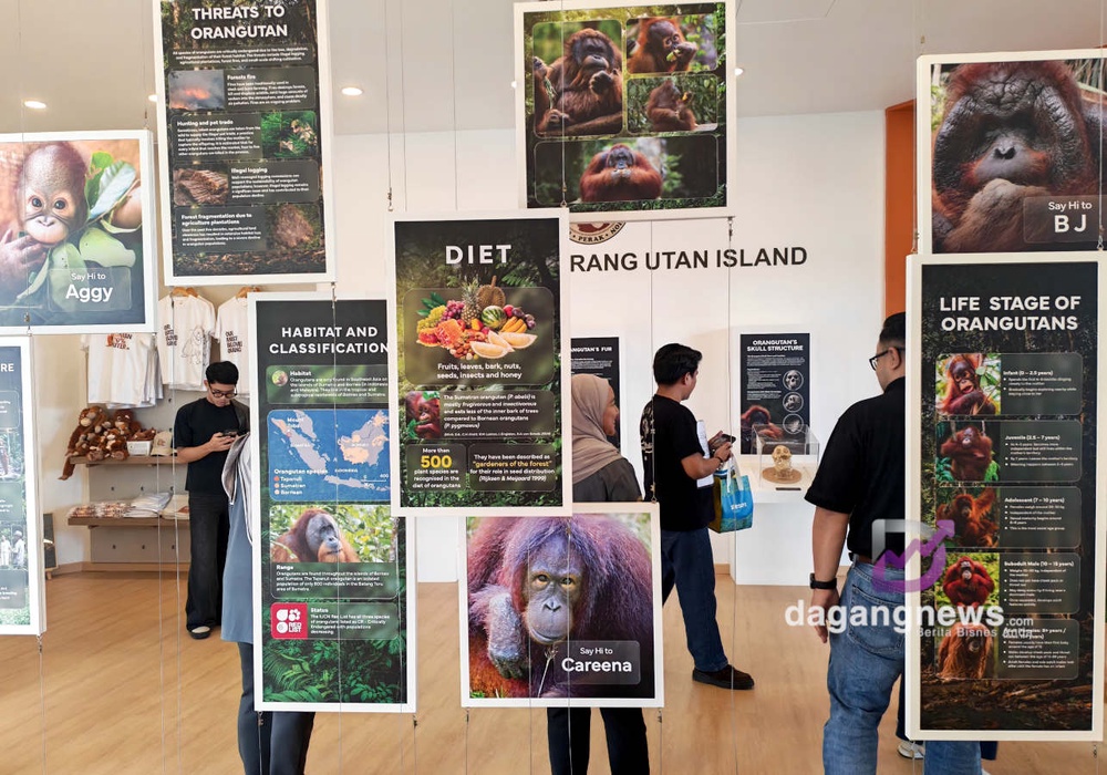 Galeri Orang Utan Island menempatkan informasi tentang haiwan berkenaan. Gambar: Naim Aziz / DagangNews