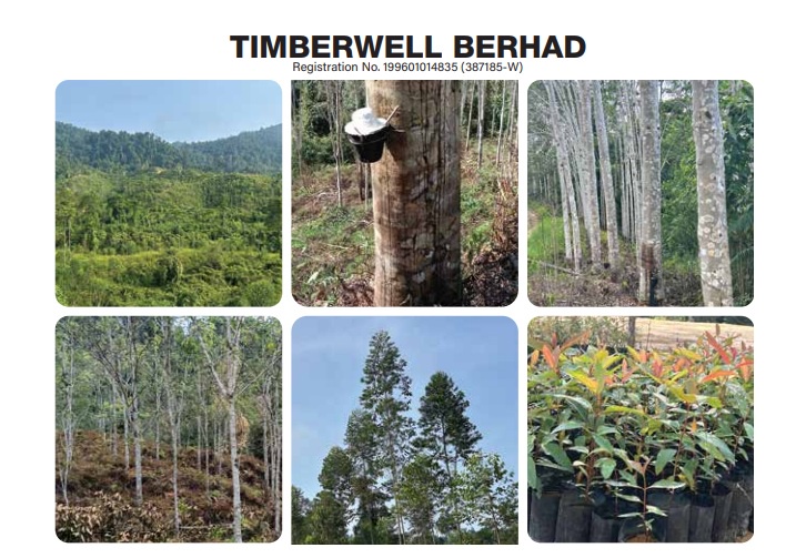 Timberwell_DagangNews2026