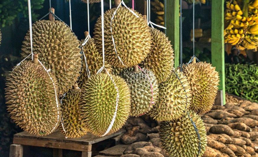 Malaysia, Thailand bukan lagi `Raja Durian', Vietnam ambil alih pasaran ...