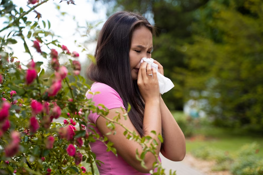 how-does-the-haze-affect-my-allergies