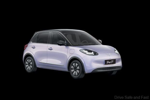 Image from: TQ Wuling Launches Special Rebate Campaign For Malaysian Civil Servants On Bingo EV