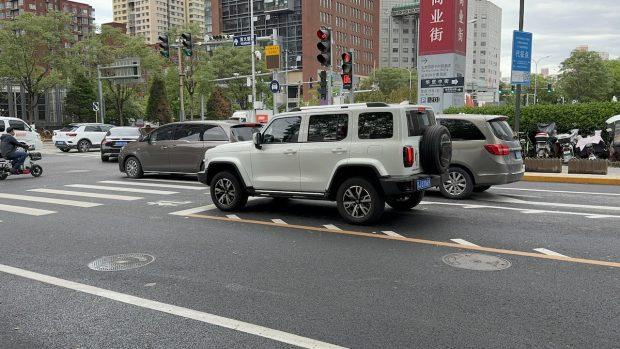 Image from: Chinese Auto Manufacturers Sold More Than Japanese Auto In Europe Despite Tariffs