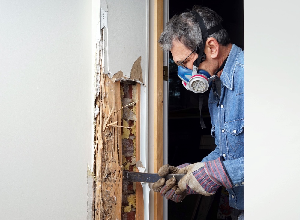Kitchen Cabinets, Termite Damage