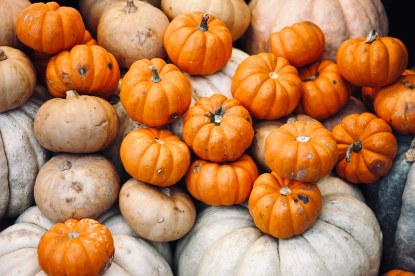 Farms and Pumpkin Patches With Special Giveaways