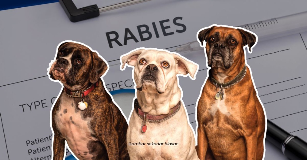 Rabies Makin Membimbangkan Di Sarawak, 11 Kes Baharu Dicatat Mac Ini