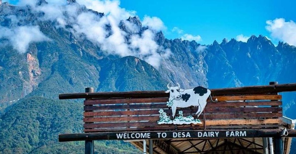 Gaya Rambut Praktikal Untuk Aktiviti Padat