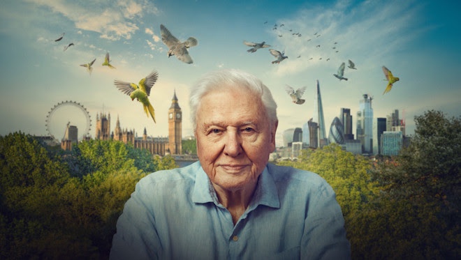 Image from: Streaming Highlights May 2026: What To Watch This Month