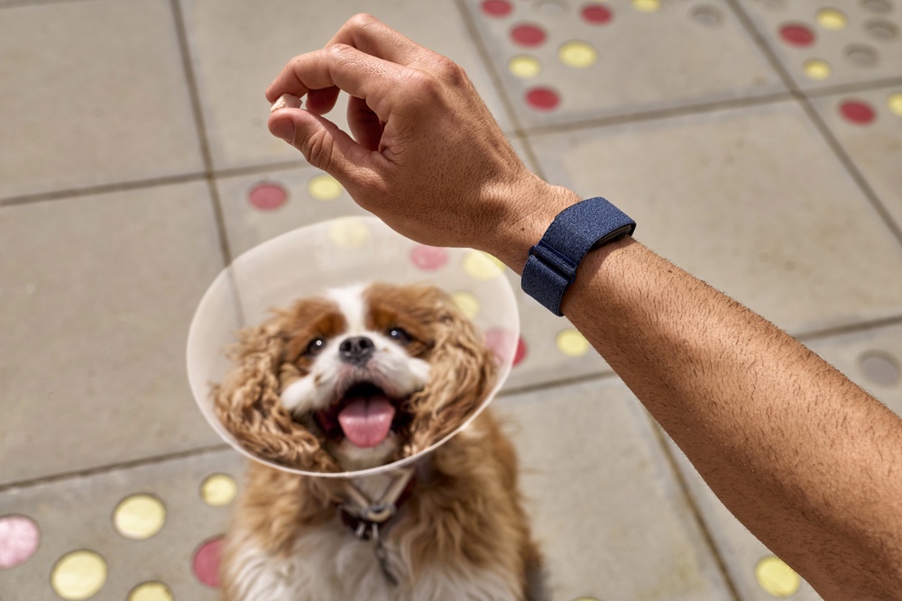 Image from: Garmin launches screen-free CIRQA Smart Band in Malaysia