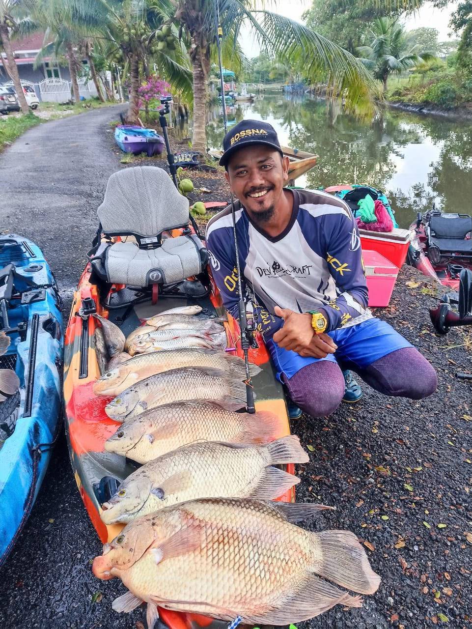 Image from: ‘Anggur Malaysia’ pikat kaloi  Sungai Kedah