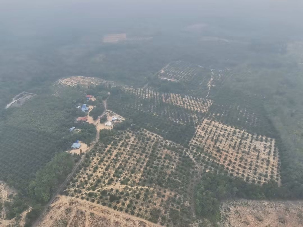 Image from: Siapa dalang utama musnahkan Ramsar Tasik Bera?