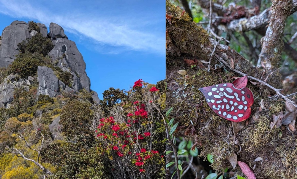 Image from: Episod dramatik Mauro Persic sesat di Gunung Kinabalu