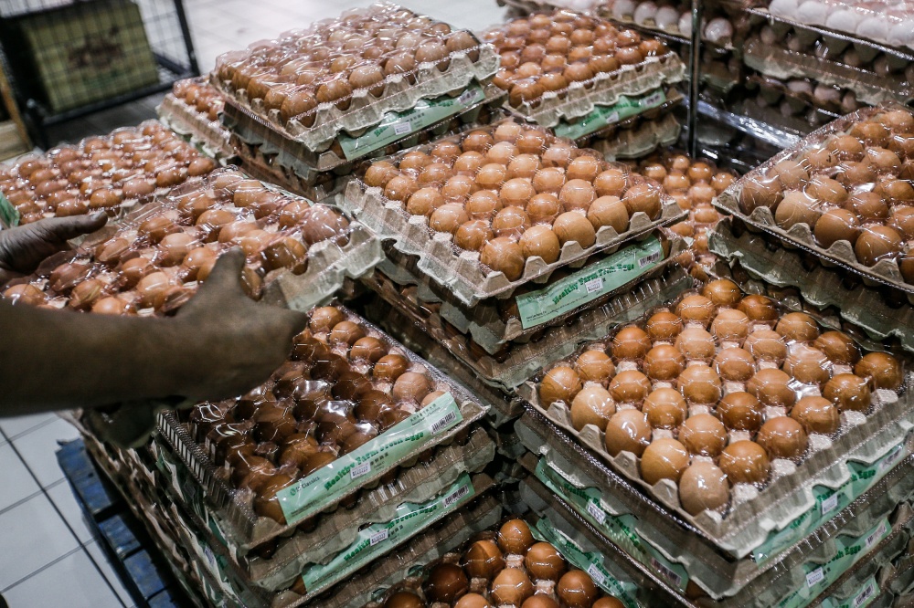 Fama gives assurance supply of eggs nationwide for Ramadan, Aidilfitri