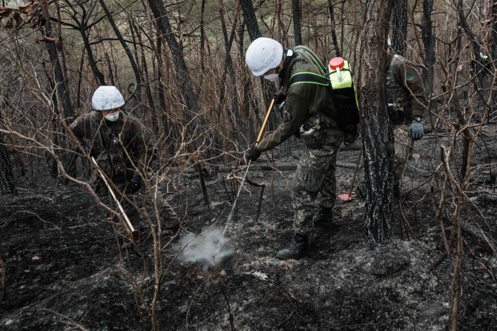Rain Helps Tame South Korea S Deadliest Wildfires 28 Dead As Blazes
