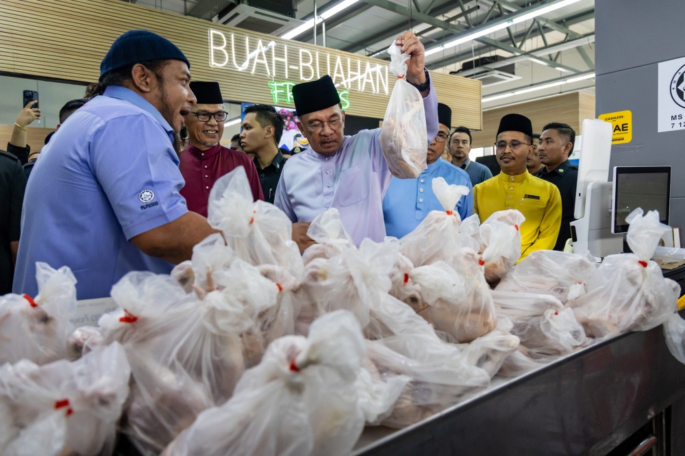 Anwar urges Malaysians to farm at home, says shouldn’t leave land idle