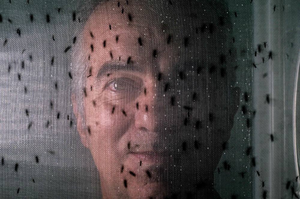 Brazilian researcher Luciano Moreira from the World Mosquito Program Brazil poses after an interview with AFP in Curitiba, Parana state, Brazil on March 19, 2026. — AFP pic
