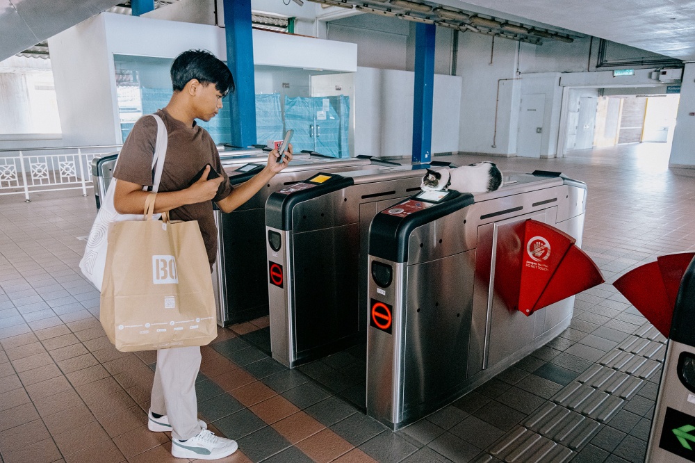 A passenger photographs Lembu lounging atop the automated fare collection barrier gates at LRT Datuk Keramat station. — Picture by Firdaus Latif