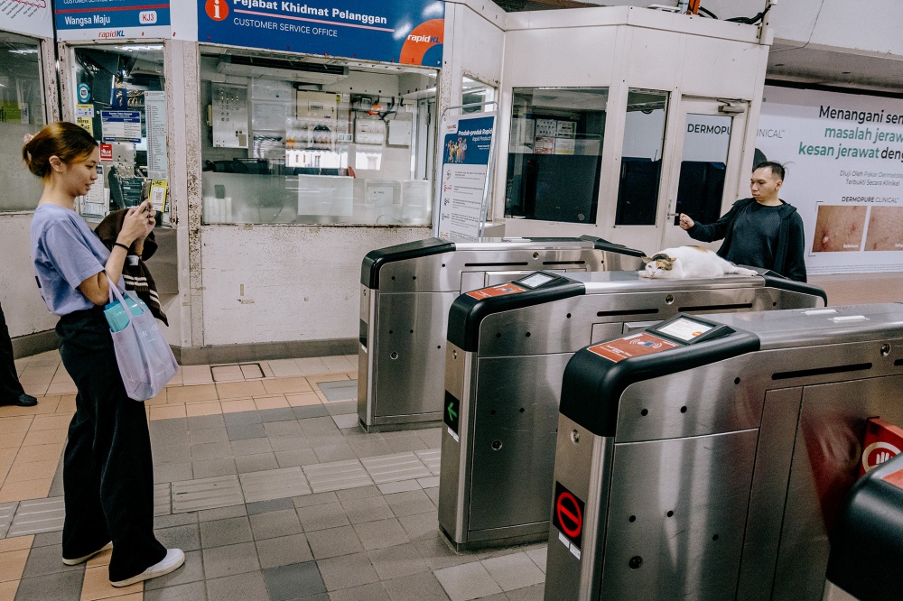 A passenger photographs a sleepy Cantik lounging atop the automated fare collection barrier gates at LRT Wangsa Maju station. — Picture by Firdaus Latif