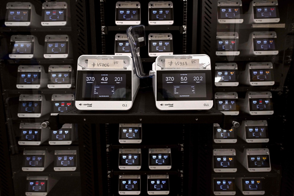 In this photo taken on May 5, 2026, CL1 units containing cortical and hippocampal cells on a cell culture plate are placed in servers where they are available to study via the internet, at Cortical Labs’ Physical Containment Level 2 (PC2) laboratory in Melbourne. — AFP pic 