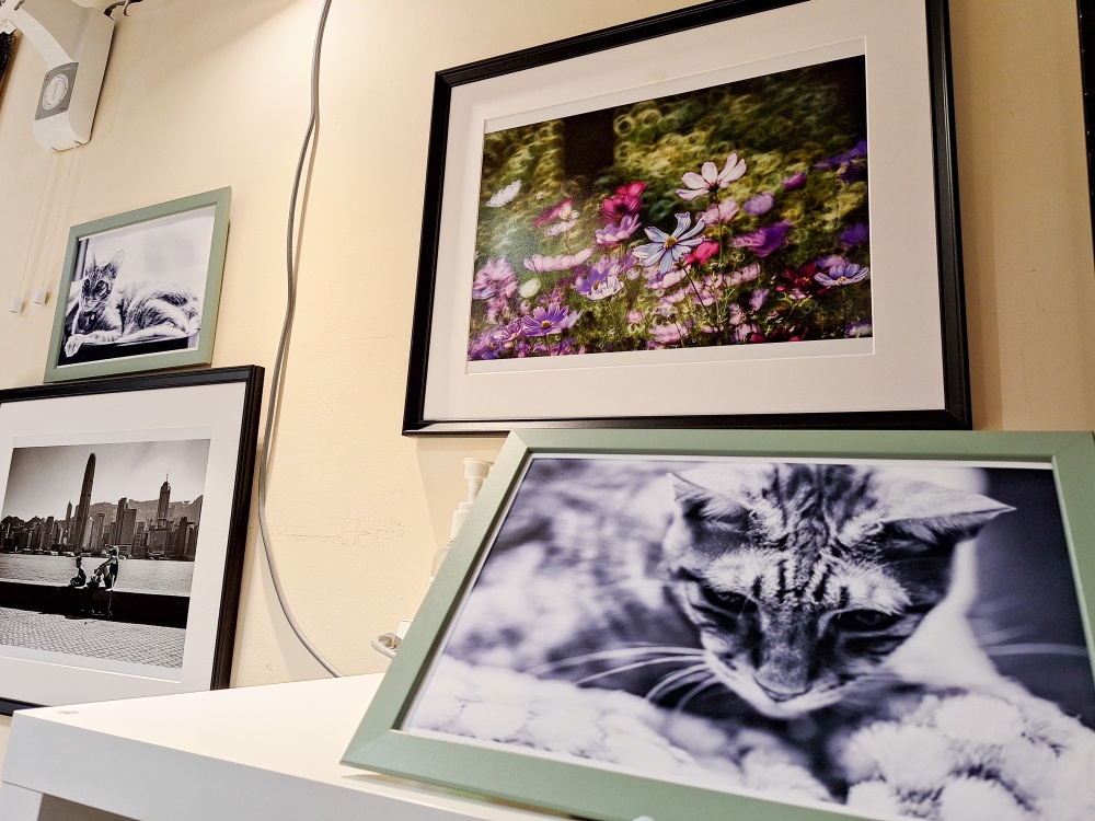 Stepping into George Private Kitchen feels like entering a living room, which is also decorated with photographs of cats and scenery taken by the chef himself.