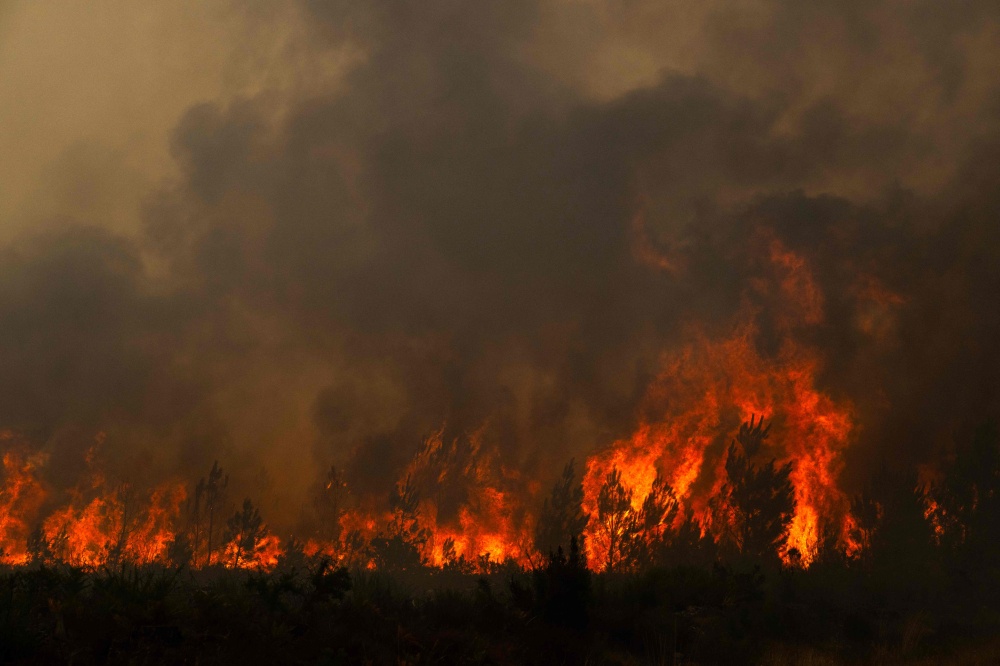 This photography shows a burning forest during a wildfire near the town of Lege-Cap-Ferret, south-western France July 25, 2026. — AFP pic