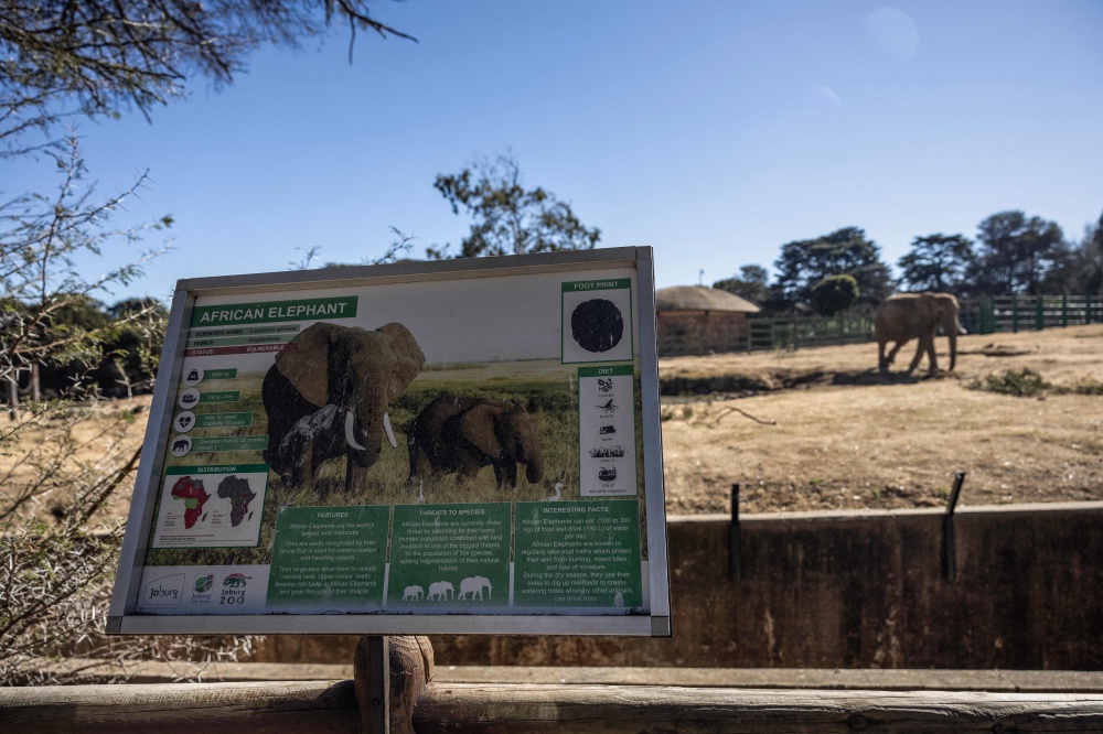 A general view shows the information board next to the elephant enclosure at the Johannesburg Zoo in Johannesburg on July 24, 2026. — AFP pic