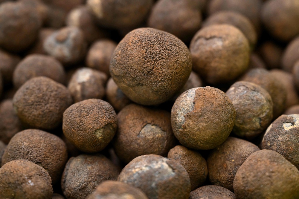 This file picture taken on June 11, 2025 on Rarotonga in the Cook Islands shows polymetallic nodules, bulbous lumps of rock that are rich in battery metals such as cobalt and nickel which carpet huge tracts of Pacific Ocean seabed. — AFP pic