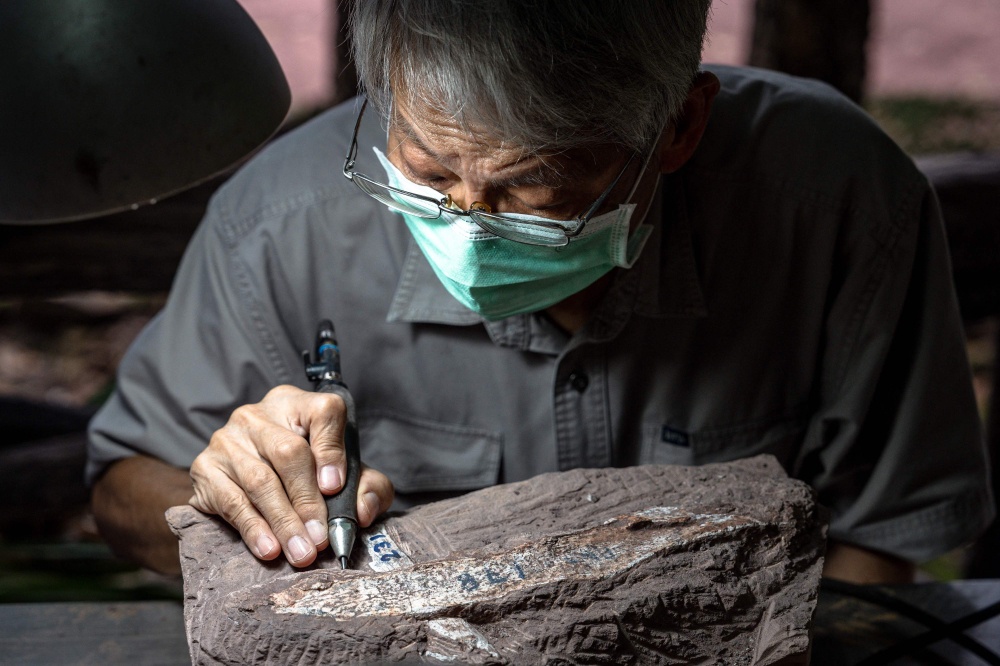 Palaeontologist Varavudh Suteethorn uses a pneumatic pen to excavate a dinosaur fossil at Phu Wiang National Park in Khon Kaen on August 19, 2026. — AFP pic