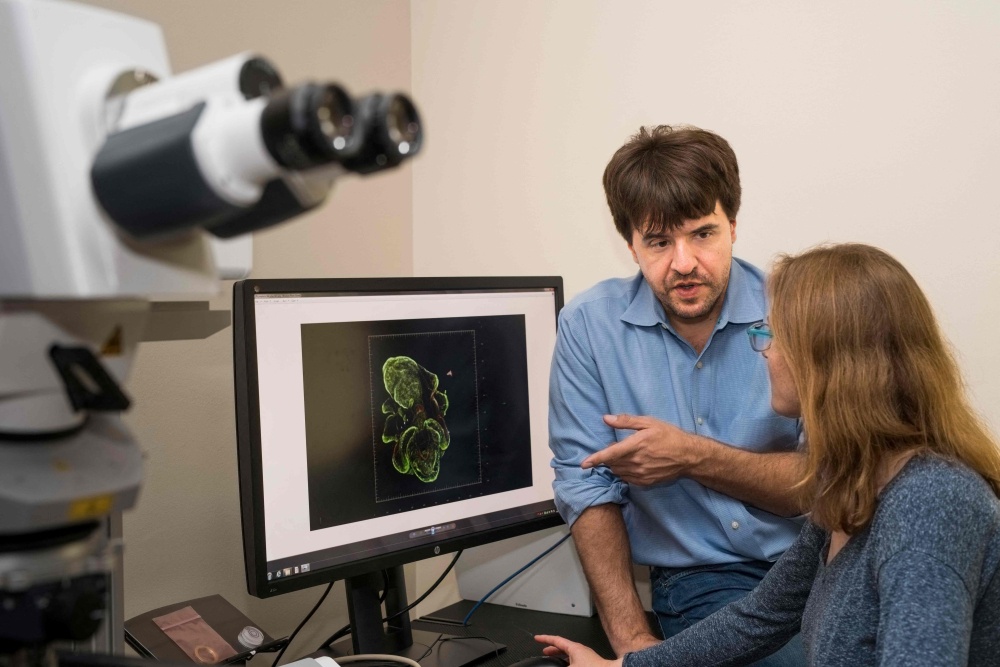 An undated handout photo released on October 5, 2026 by the University of Stanford / Medicine shows US psychiatrist and neurologist Karl Deisseroth. — AFP pic