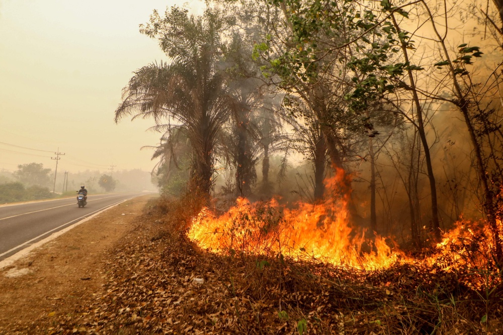 A motorist drives past a wildfire in the Bukit Batu area of Palangkaraya, Central Kalimantan province on October 13, 2026. — AFP pic