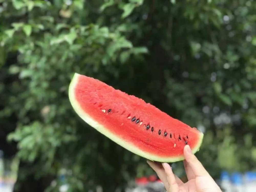 Image from: 超市迷惑行为！买半颗西瓜竟然附送 1 颗小番茄！背后神奇功效曝光，连瓜农都惊呼：这一招学到了！