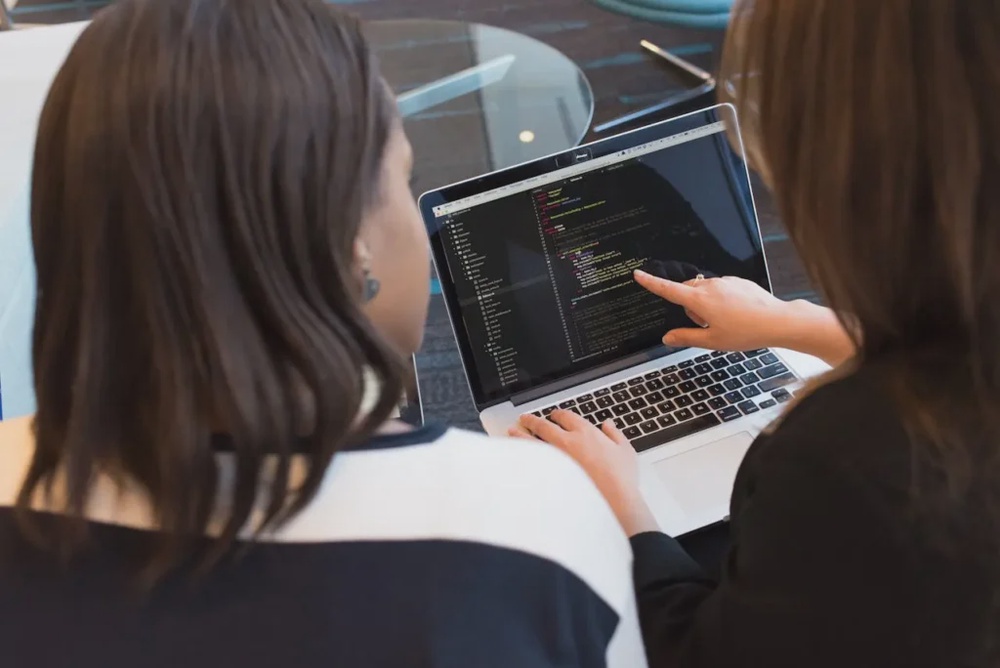 Developers reviewing code on a laptop, representing software development and system implementation for web or desktop solutions.