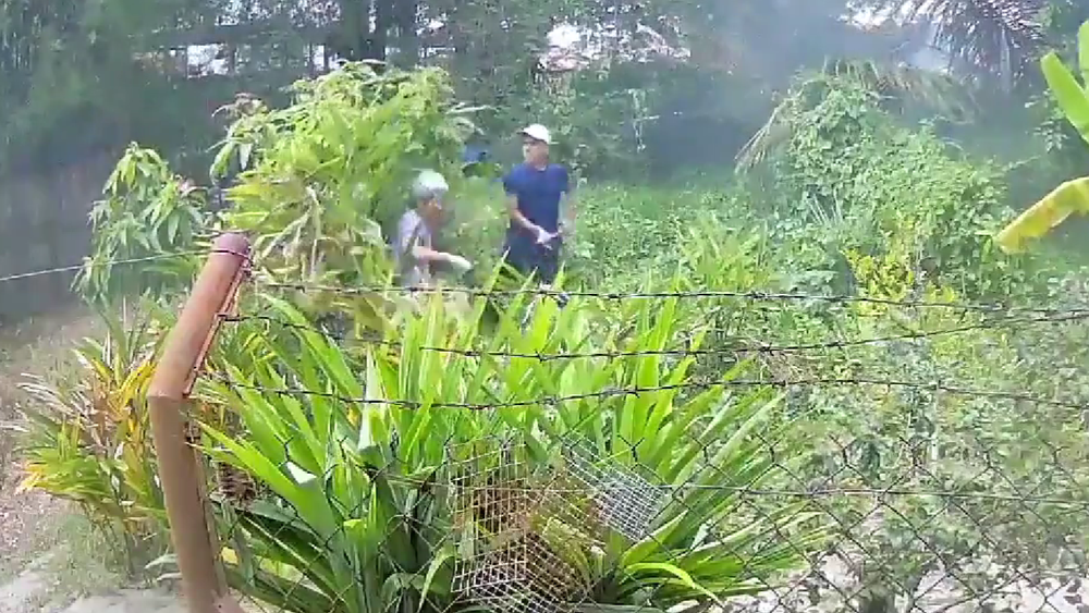 Young man punches 76yearold woman after glamping site open burning feud