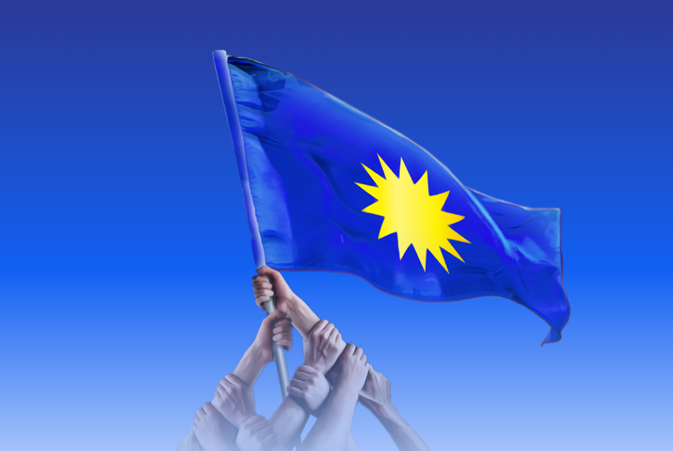 Image from: MCA would have handled Selangor pig farm issue better than DAP: Ronnie Liu