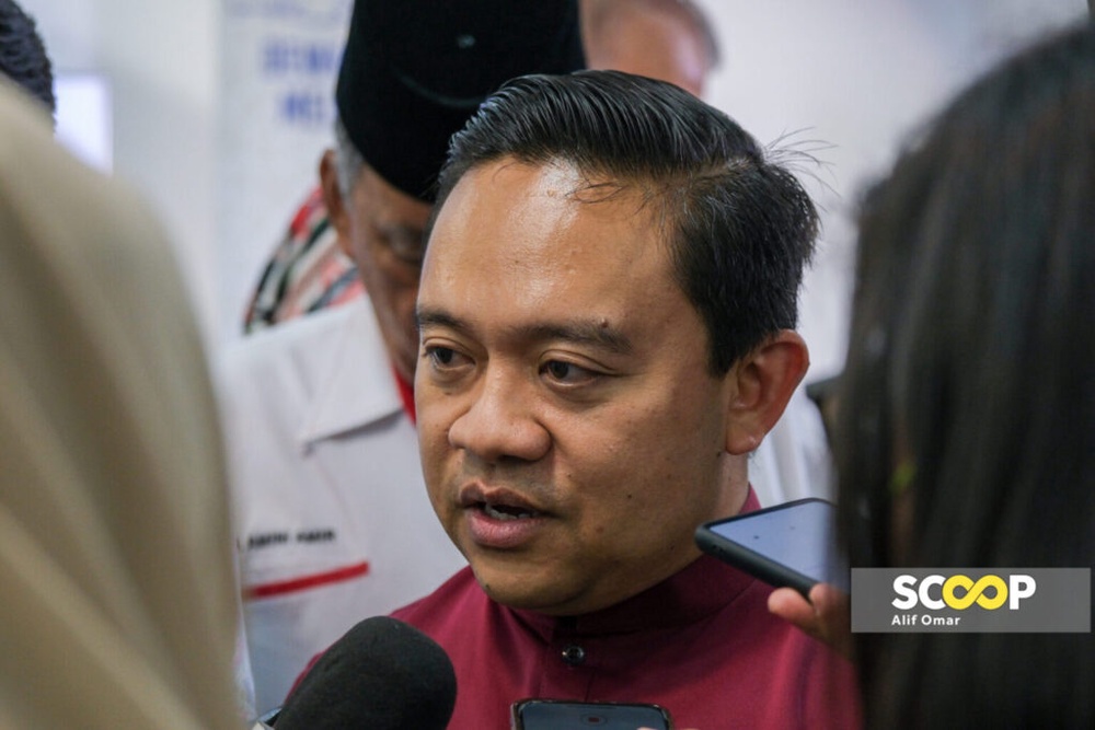 Image from: Proposal to impose charges on EV sales could increase purchase costs: Wan Saiful