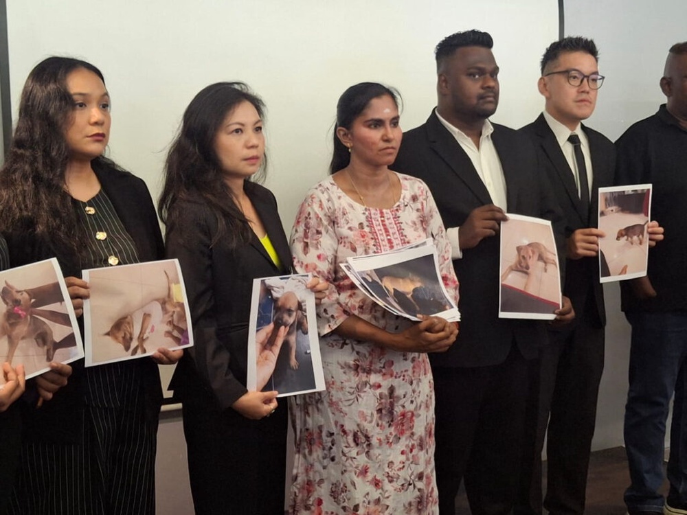 Image from: Rocky’s owner weighs legal action as lawyers, animal rights group demand full probe into dog’s death